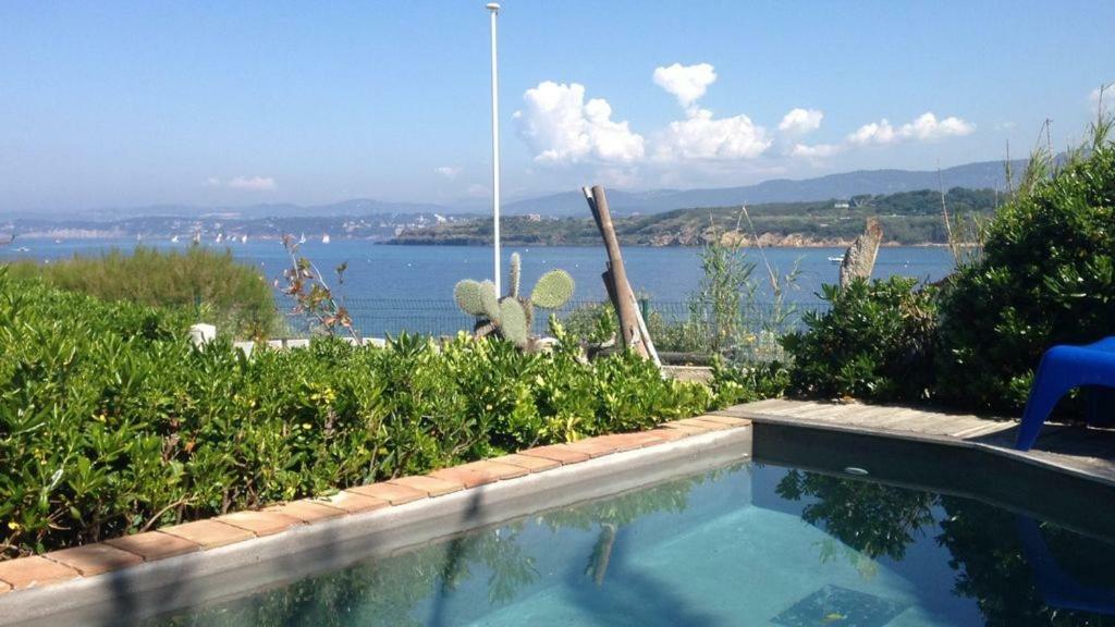 Un Coin De Paradis Six-Fours-les-Plages Exteriör bild