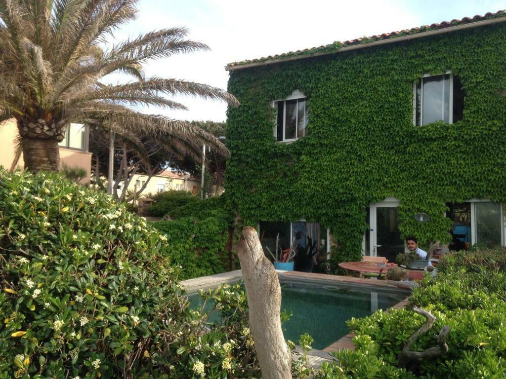 Un Coin De Paradis Six-Fours-les-Plages Exteriör bild